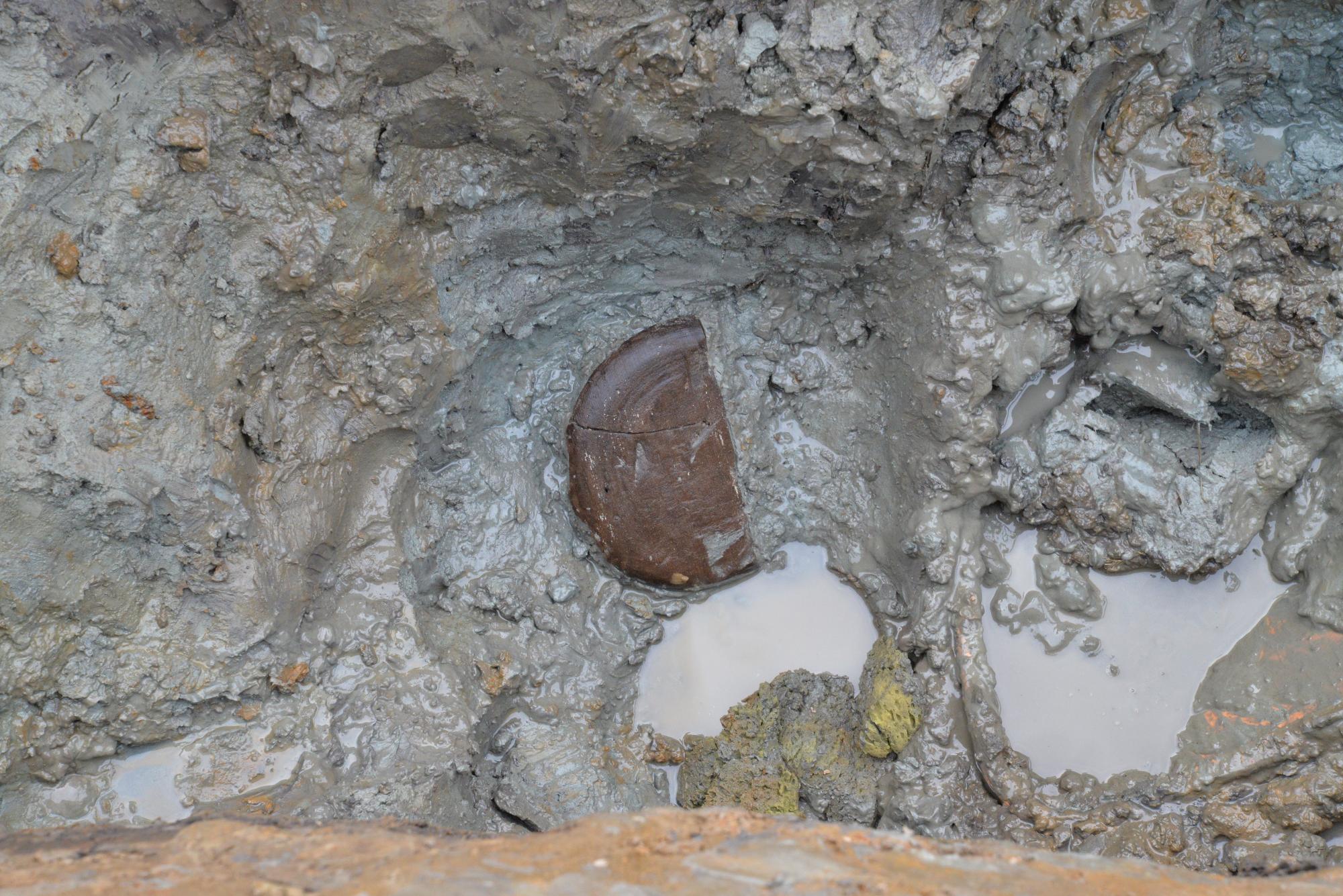 写真：木製品の一部が泥の中に埋まっっています