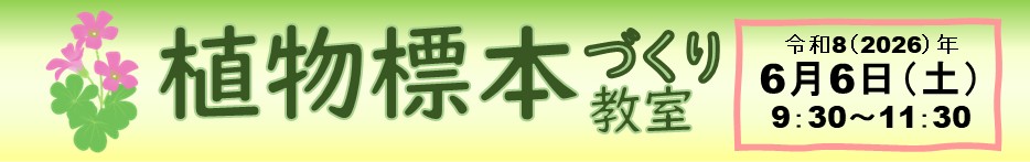 植物標本づくり教室