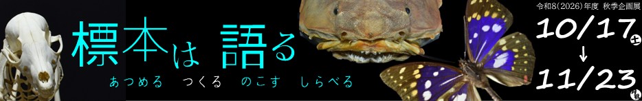 秋季企画展「標本は語る」（10月17日～11月23日）