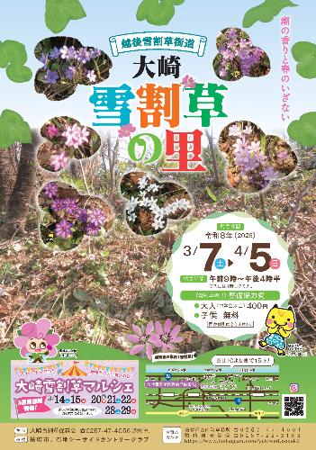 大崎雪割草の里2026年ポスター