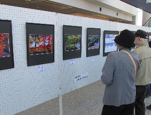 西山ふるさと館内に展示された作品を観覧する様子