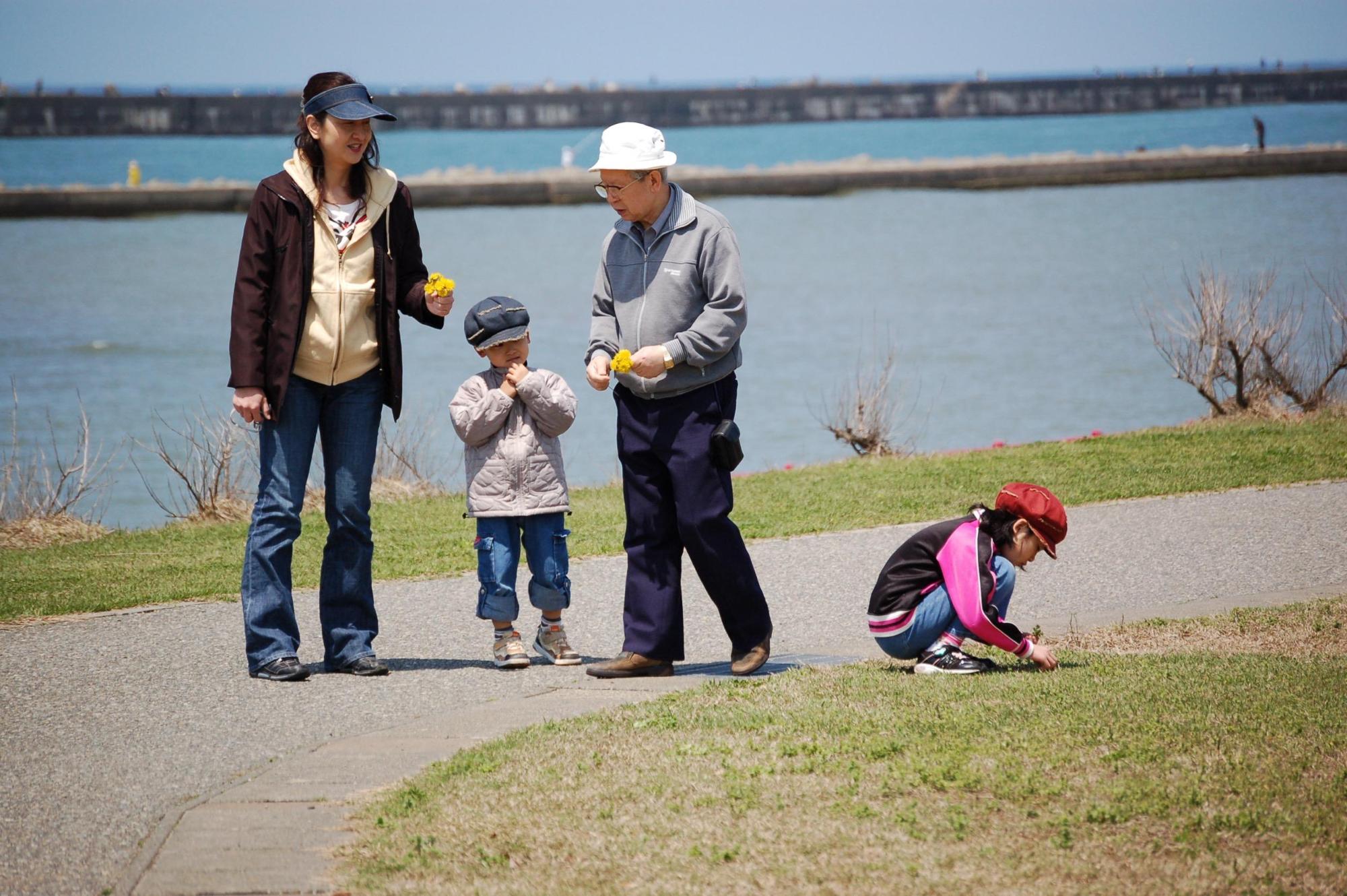 写真：おじいさんとみなとまち海浜公園を散歩するみゆたそさんとご家族