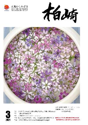 表紙写真：水を張った白い陶器の鉢に、白やピンク、紫色の雪割草が浮かんでいます