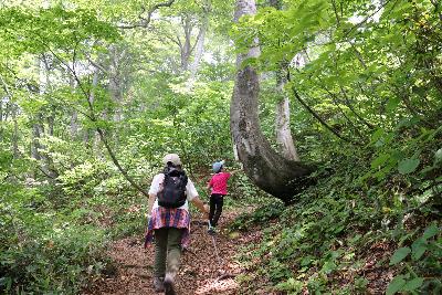 写真：黒姫山の登山道を歩く美穂さんと子どもたち。子どもたちはすいすいと先に進みます