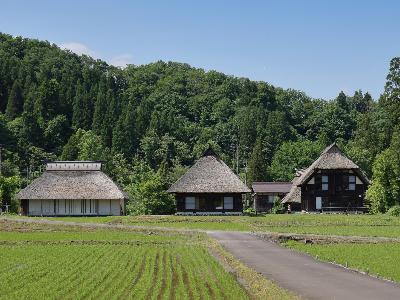 写真：田植え直後の田んぼとかやぶきの家