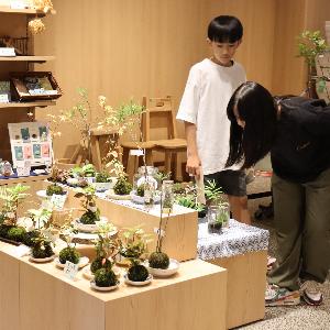 写真：にしやまショップの店内。販売中の苔玉に顔を近づける女の子