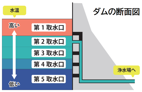 ダムの断面図（イメージ）湖面に近い第1取水口から、湖底に近い第5取水口まであります。湖面に近いほど水温が高くなります