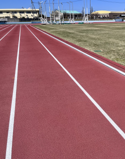 写真：柏崎陸上競技場のバックストレッチ。コースラインがまっすぐに伸びています
