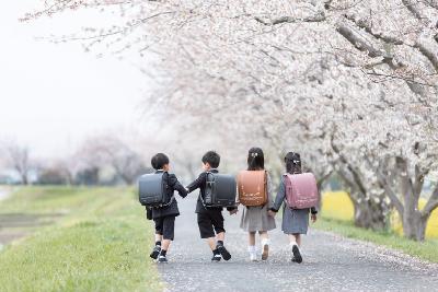 写真：ランドセルを背負い、入学式のスーツ姿で桜並木が続く道を歩く4人の子どもたち