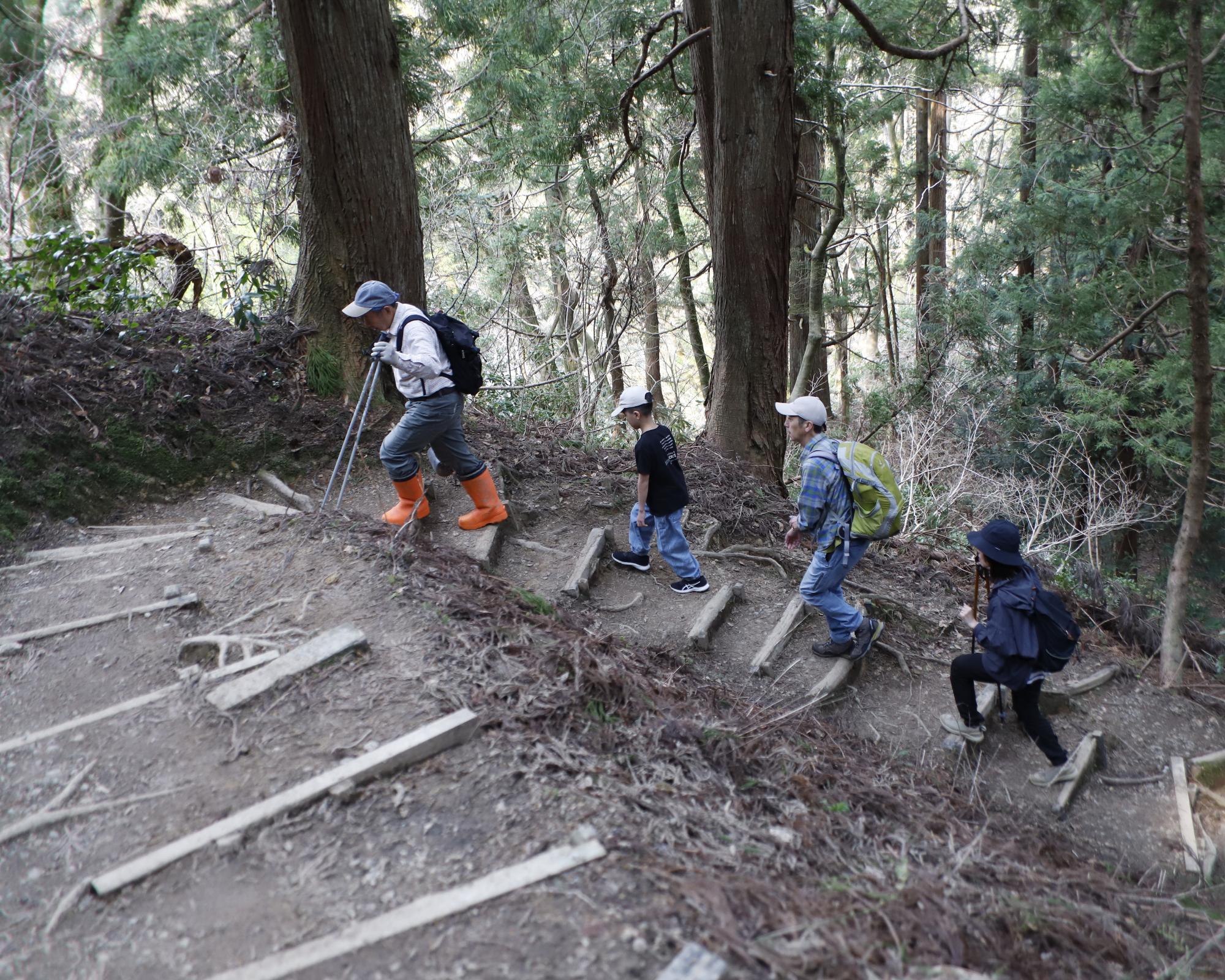 写真：整備された登山道を登る4人の家族