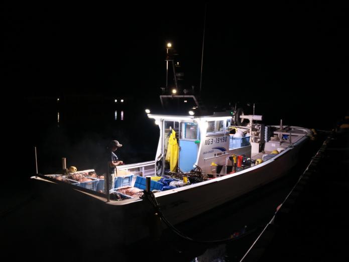 夜の海に出向する一台の漁船の写真