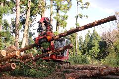 林業用機械で伐採した木をつかみ、枝を落としています。