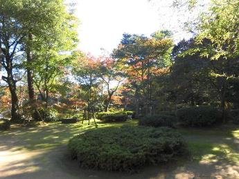 写真：10月28日の松雲山荘の広場の様子。中央の木が赤く色づき始めています。