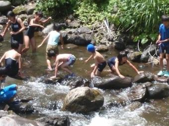 子どもたちが清流で楽しそうに川遊びをしている写真