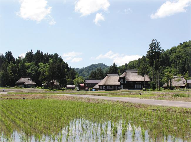 青空の下に広がる水田と、建ち並ぶ茅葺き住宅の写真
