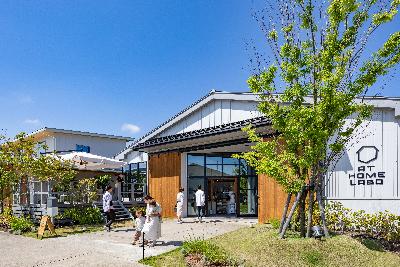 写真：しましま柏崎の店舗入り口。シンボルツリーが植えられています。