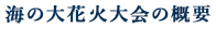 海の花火大会の概要